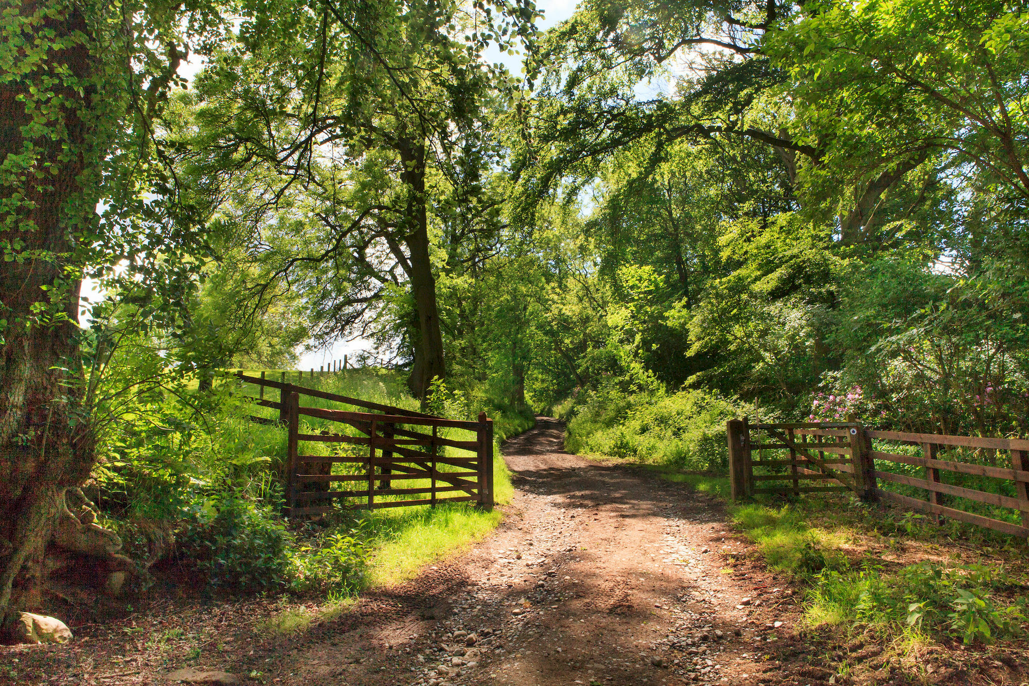 فندق Woodlands Farm اوسموثيرلي المظهر الخارجي الصورة
